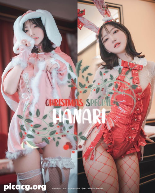 Hanari(하나리) NO.004 [DJAWA] Photo Christmas [143P／3.18GB] - 在线看可下载原图