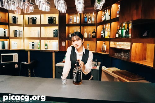 SonSon(손손) NO.053 Loozy S Bar [107P 4V 2.66GB] - 在线看可下载原图