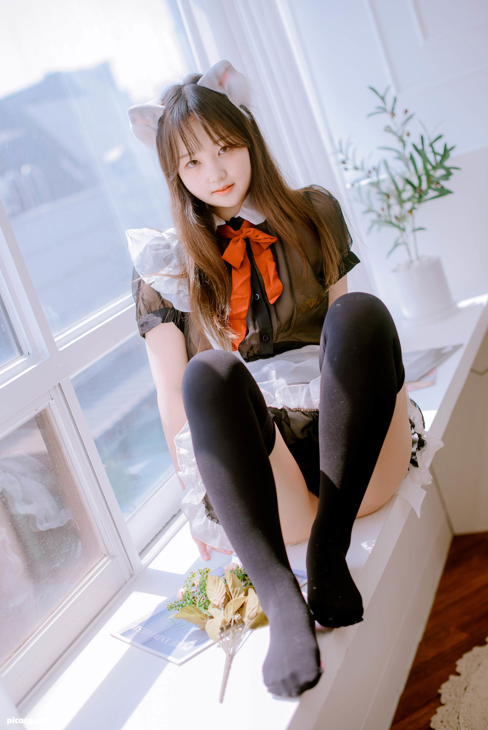 Sia(시아) NO.NO.038 JOApictures x JOA 21. JUNE Vol.1 [58P 675.88MB] - 在线看可下载原图