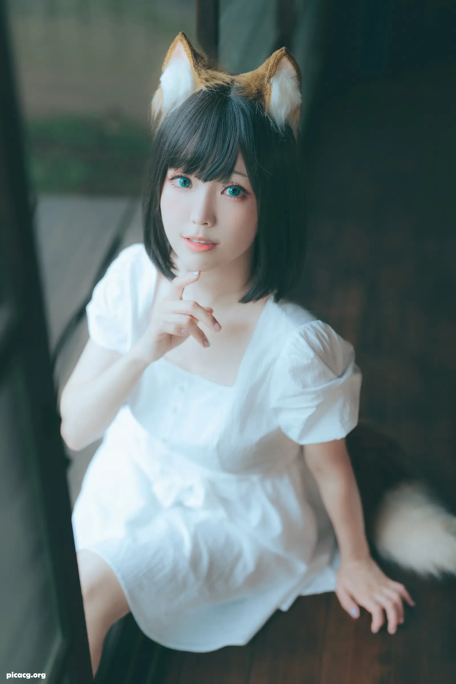 ElyEE子 NO.112 23.July B Dongitsune ~White dress 白洋裝狐少女 [59P 2V 166.68MB] - 在线看可下载原图