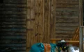 Natsuko夏夏子 NO.023 &云溪溪×星澜是澜澜叫澜妹呀 花魁忍者 [59P 1V 528.65MB] - 在线看可下载原图