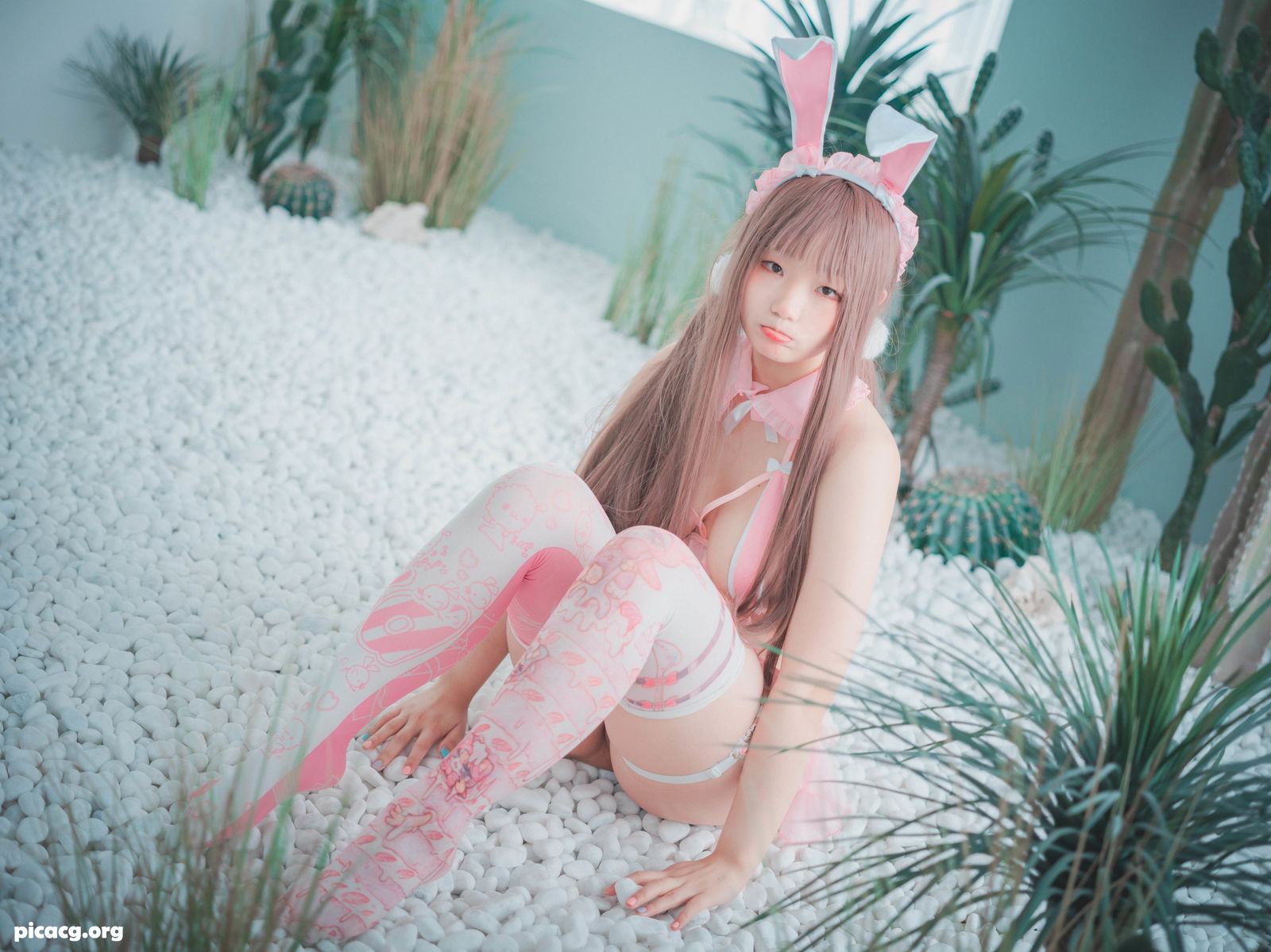 Mimmi(밈미) NO.012 DJAWA March Hare [84P 1.64GB] - 在线看可下载原图