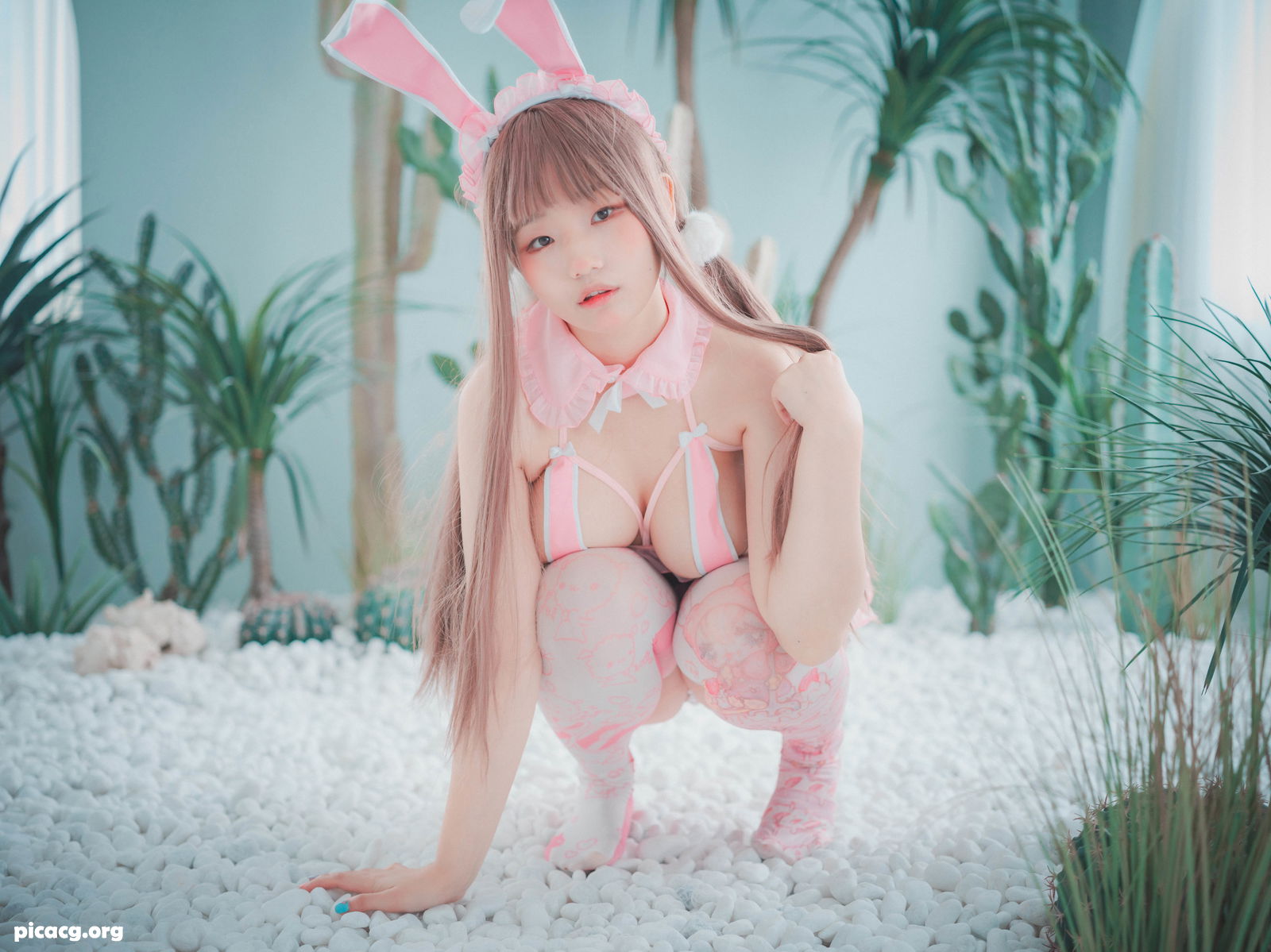 Mimmi(밈미) NO.012 DJAWA March Hare [84P 1.64GB] - 在线看可下载原图