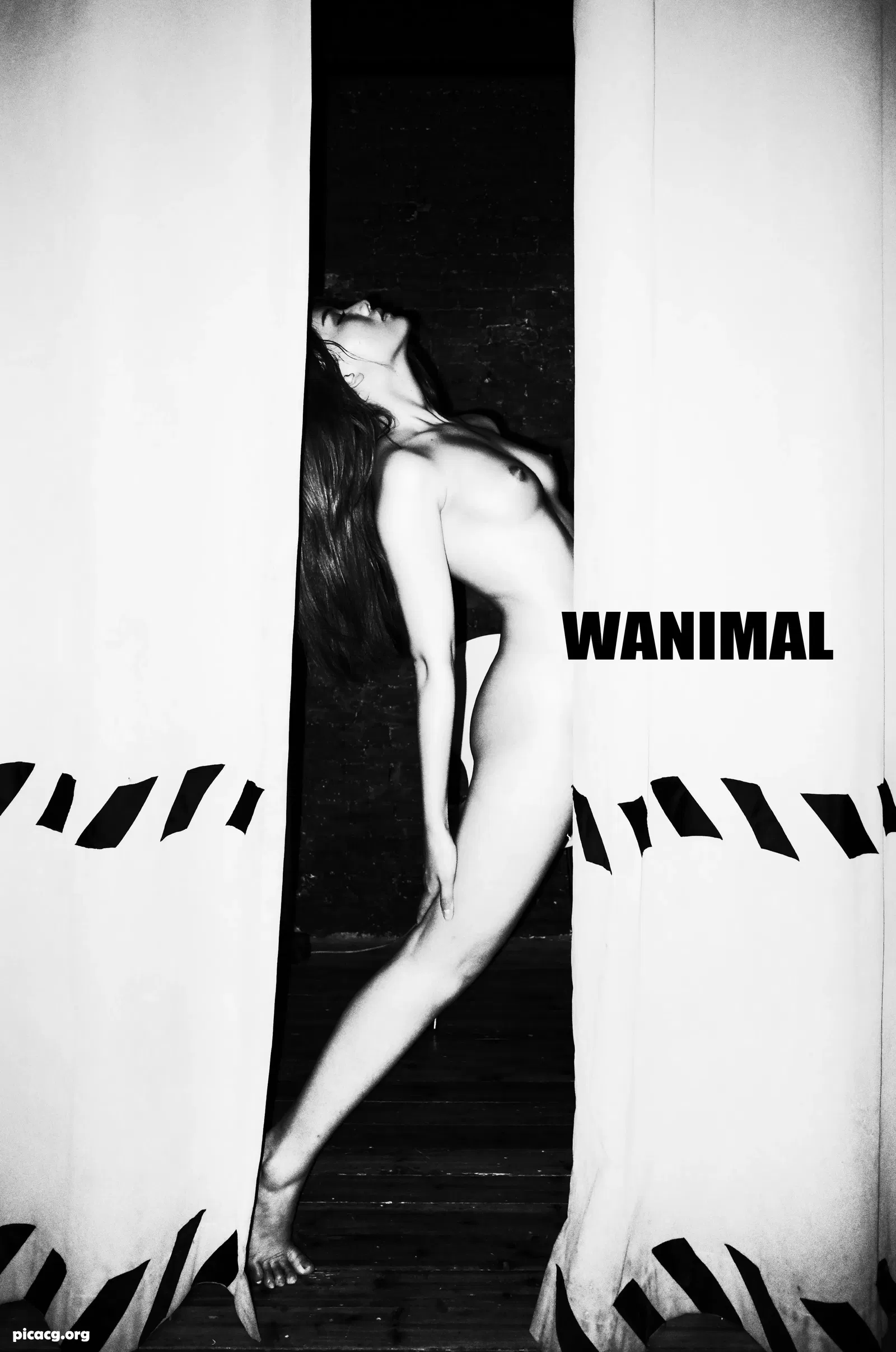 就是阿朱啊 NO.017 WANIMAL 2016 - 在线看可下载原图